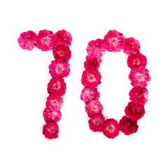 number 70 from flowers of a red and pink rose on a white background. Typographical element for design. Flower numbers, date, isolate, isolated