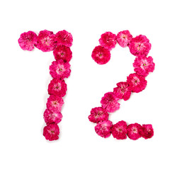 number 72 from flowers of a red and pink rose on a white background. Typographical element for design. Flower numbers, date, isolate, isolated