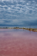 Pink salt pool at sunrise with dark cloudscape