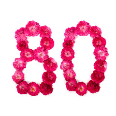 number 80 from flowers of a red and pink rose on a white background. Typographical element for design. Flower numbers, date, isolate, isolated