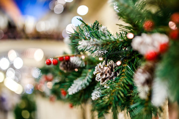 Image of New Year branch of fir-tree with cones, red berries