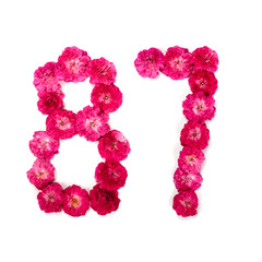number 87 from flowers of a red and pink rose on a white background. Typographical element for design. Flower numbers, date, isolate, isolated