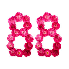 number 88 from flowers of a red and pink rose on a white background. Typographical element for design. Flower numbers, date, isolate, isolated