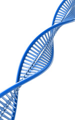 3d rendered dna in white background