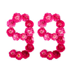 number 99 from flowers of a red and pink rose on a white background. Typographical element for design. Flower numbers, date, isolate, isolated