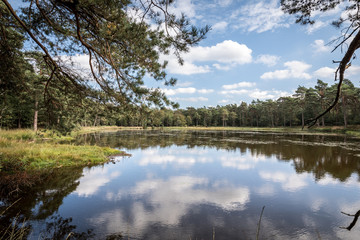 Fototapeta premium Lake with clouds