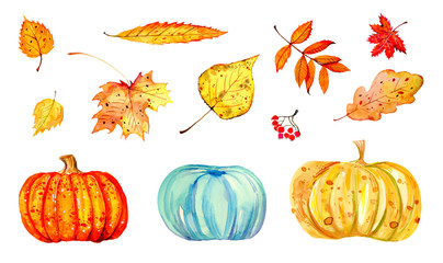 Set of different colorful autumn leaves and pumpkins. Hand drawn watercolor stylized sketch illustration