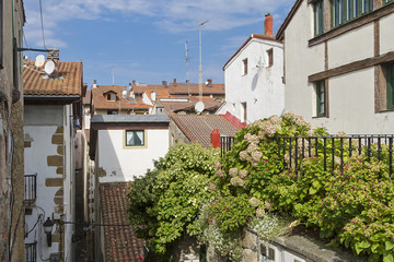 Fototapeta na wymiar Getaria town in Gipuzkoa, basque Country