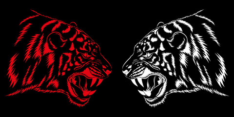 Vector image of a red and white tiger on a black background.