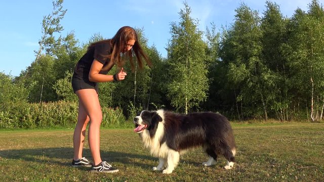 A young woman reprimands her Border Collie in a meadow in a forest