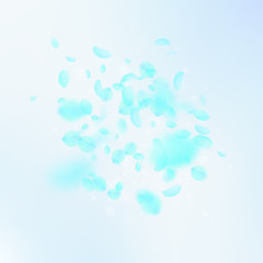 Turquoise flower petals falling down. Perfect romantic flowers explosion. Flying petal on blue sky s