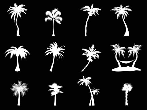 white palm tree icon on black background