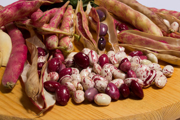 the borlotti beans have innumerable properties, they lend themselves to various recipes in the...