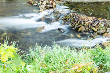 Pond. Park pond. Pond in the Park. Park landscape. Autumn landscape.