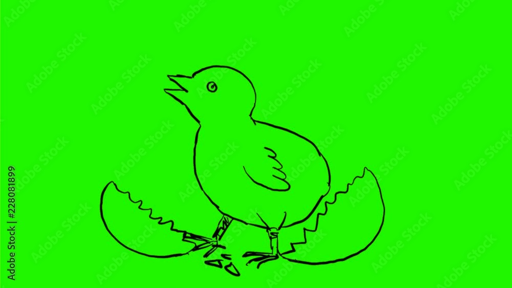 Poster 2d animation motion graphics showing a drawing of a chick cracking hatching out of egg on white and 