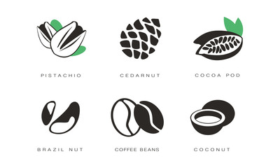 Nuts and seeds icons set, pistachio, cedar nut, cocoa pod, brazil, coffee beans, coconut monochrome vector Illustration on a white background