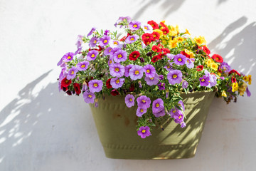 bouquet of flowers in a basket isolated on white