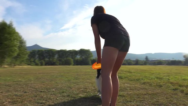 A Border Collie fetches a frisbee to a woman in a meadow in a forest - closeup