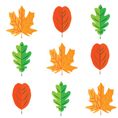 Seamless colorful painted leaves pattern on white background.