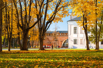 Autumn trees with yellowed foliage in the sunny day. Kremlin park, Veliky Novgorod, Russia. 