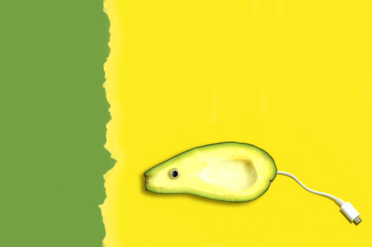 Funny mouse made from avocado and USB cable