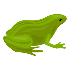 Green frog icon. Cartoon of green frog vector icon for web design isolated on white background