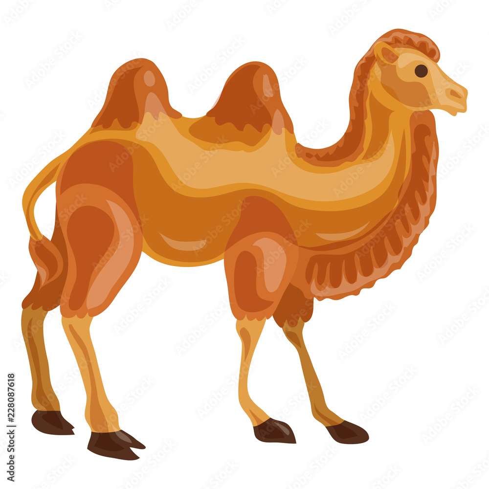 Poster camel icon. cartoon of camel vector icon for web design isolated on white background