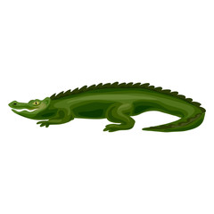 Crocodile icon. Cartoon of crocodile vector icon for web design isolated on white background