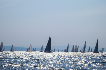 Barcolana, sailing boats in Trieste italy, during the biggest regatta in the word. - obrazy, fototapety, plakaty
