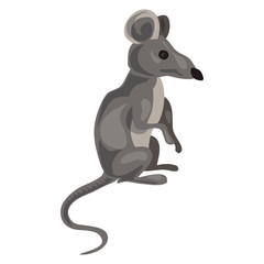 Grey mouse icon. Cartoon of grey mouse vector icon for web design isolated on white background