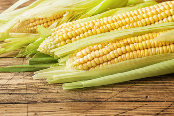 Fresh corn on cobs on rustic wooden table, closeup