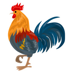 Farm cock icon. Cartoon of farm cock vector icon for web design isolated on white background