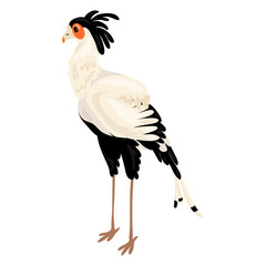 Exotic heron icon. Cartoon of exotic heron vector icon for web design isolated on white background