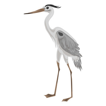 recommend clip art: Grey heron icon. Cartoon of grey heron vector icon for web design isolated on white background