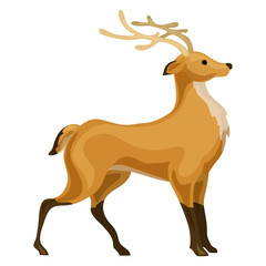 Deer icon. Cartoon of deer vector icon for web design isolated on white background