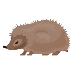 Hedgehog icon. Cartoon of hedgehog vector icon for web design isolated on white background
