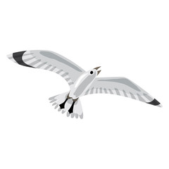 Seagull icon. Cartoon of seagull vector icon for web design isolated on white background
