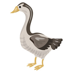 Goose icon. Cartoon of goose vector icon for web design isolated on white background
