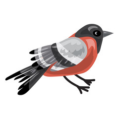 Bullfinch icon. Cartoon of bullfinch vector icon for web design isolated on white background