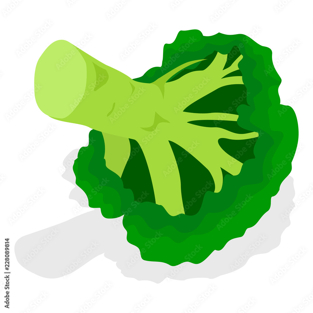Poster eco broccoli icon set. isometric set of eco broccoli vector icons for web design isolated on white b