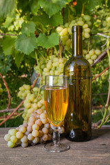 Glass of white wine and bunch of grapes on old wooden table against vineyard..