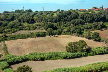 Campi arati