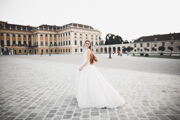 Obraz premium Beautiful luxury bride in elegant white dress
