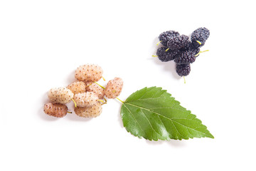 Heaps of black and white mulberry fruit with green leaf isolated on white.