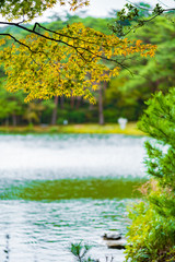 湖畔で見つけた秋の知らせ