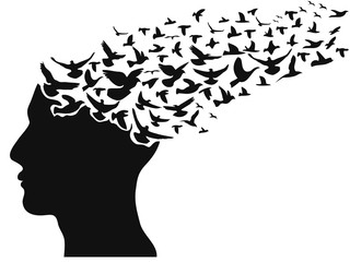 birds flying human head