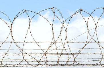 Barbed wire against sky background 