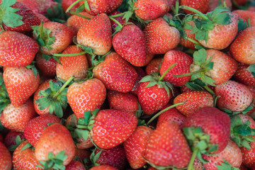 Strawberry Fresh organic berries Fruit in the market