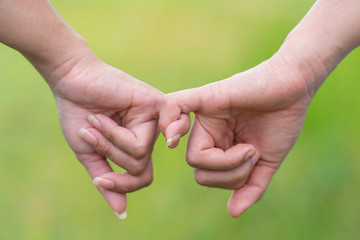 Two hands are hook each other's little finger in a field, Friendship Day