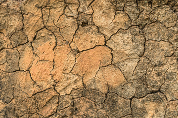 crack dry soil and rock on the ground at the summer season